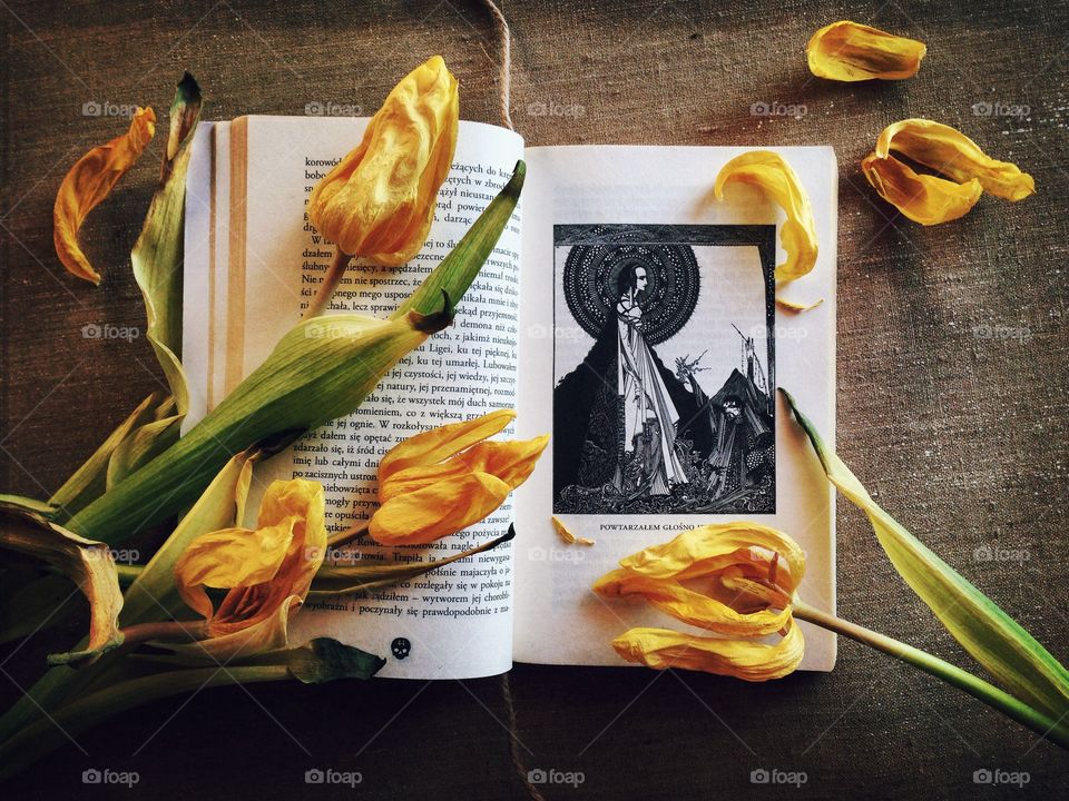 Tulips on the book 