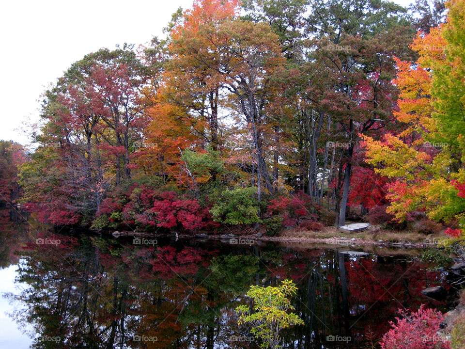 Reflection of autumn trees on idyllic lake