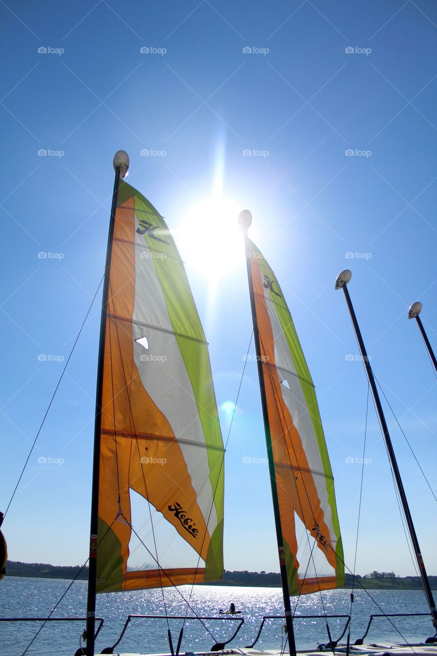 Sail boats under the sun