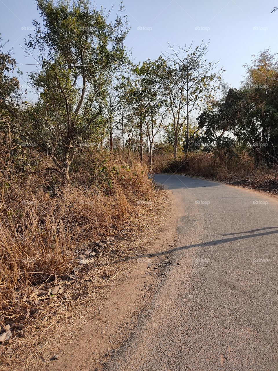 beautiful😍 👣👣👣👣pathway