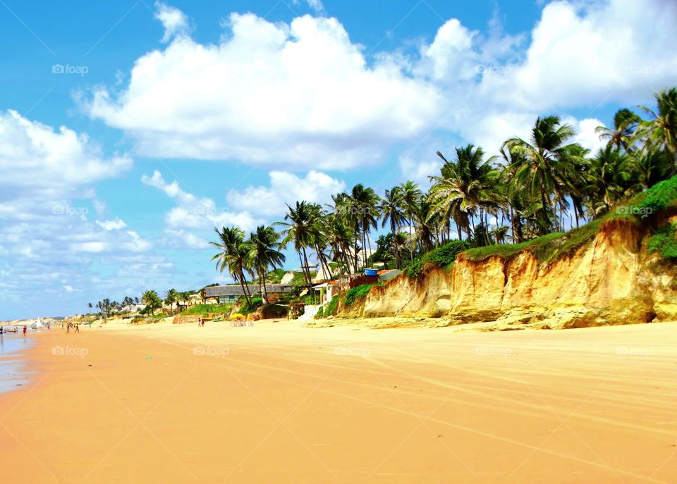 Tropical dunes. Dunes on a Brazilian beach