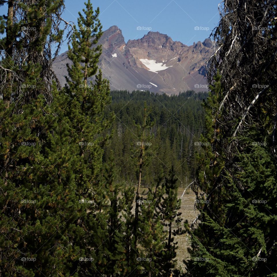 Broken Top in Oregon’s Cascade Mountain Range seen through the trees in the Deschutes National Forest on a sunny fall morning with clear blue skies.