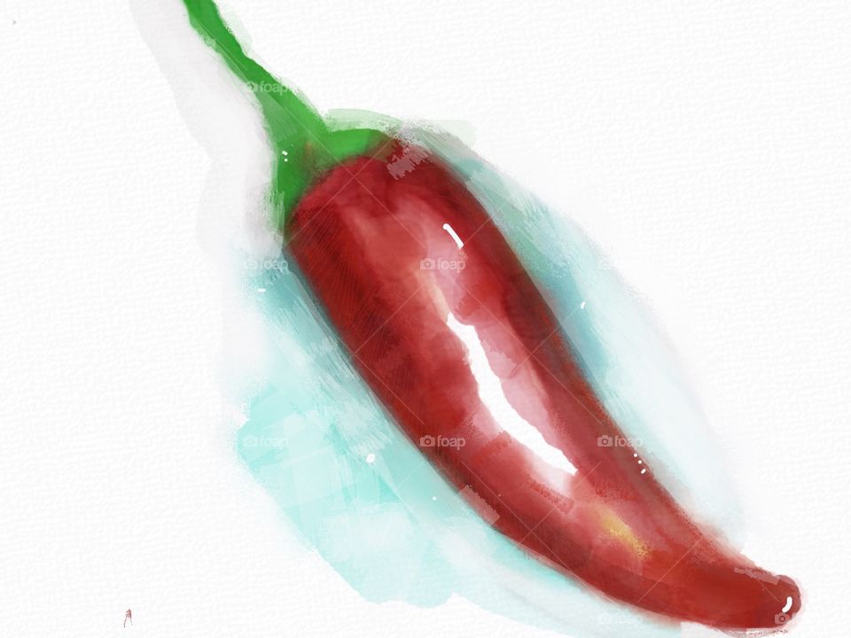 Chilli. Water color painting
