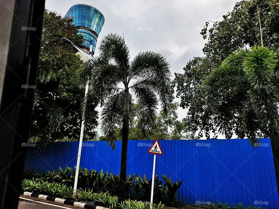 Cityscape mode
📷👁️📷👁️
Amazing High altitude Tower
Blue Glasses....
Dashing Look
cloudy weather💭💭
Awesome Flora🌴🌴🍀🍀🌴