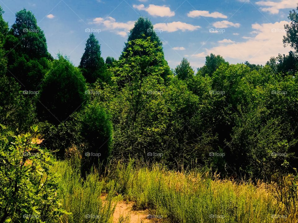 Hiking trail at garden of the gods in Colorado Springs, Colorado on a sunny summer afternoon. It was a beautiful day for a hike