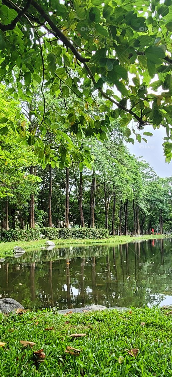 Dadong Wetlands Park