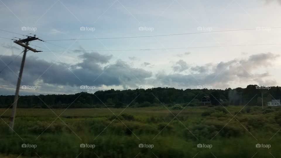Landscape, Tree, Sky, Grassland, Agriculture
