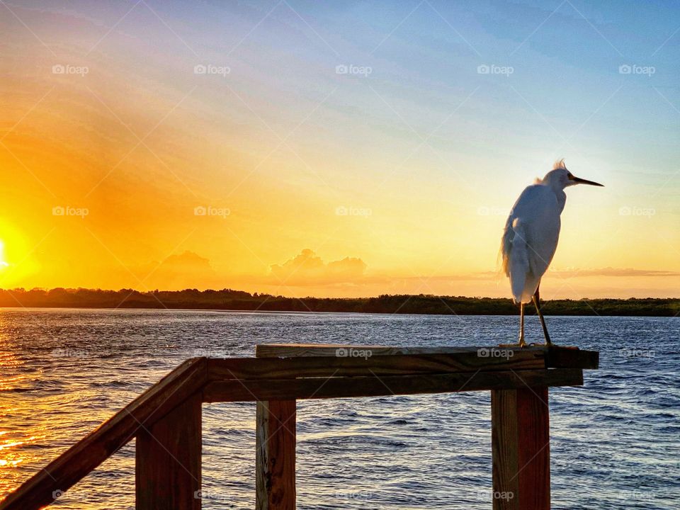 Sunset viewing in the breeze