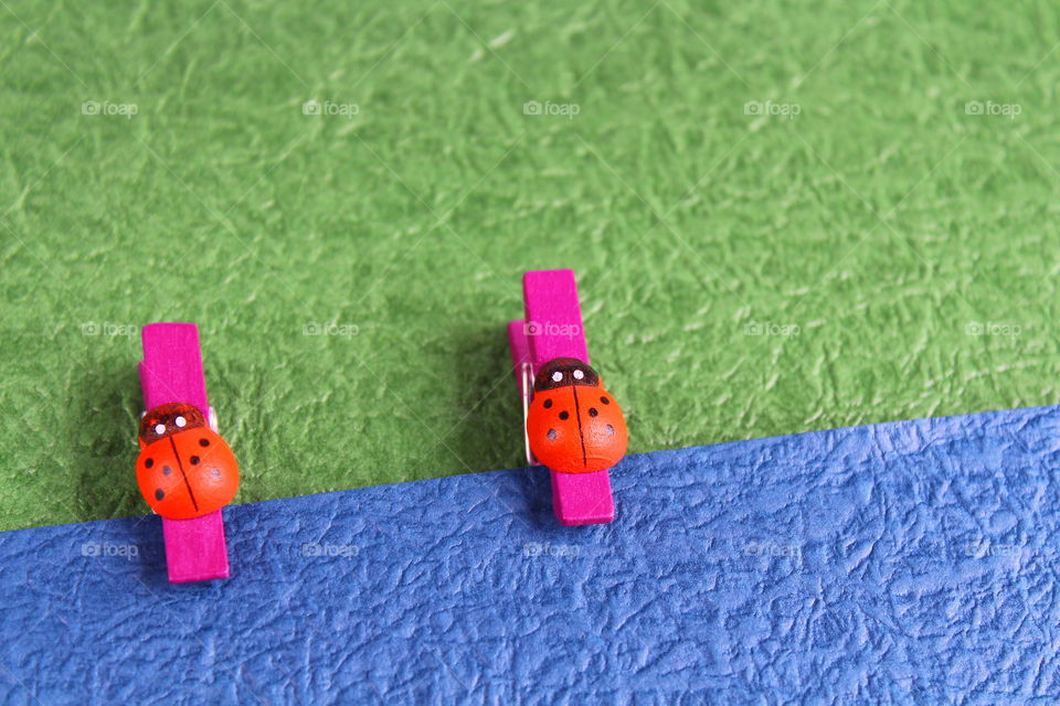 ladybug decorations