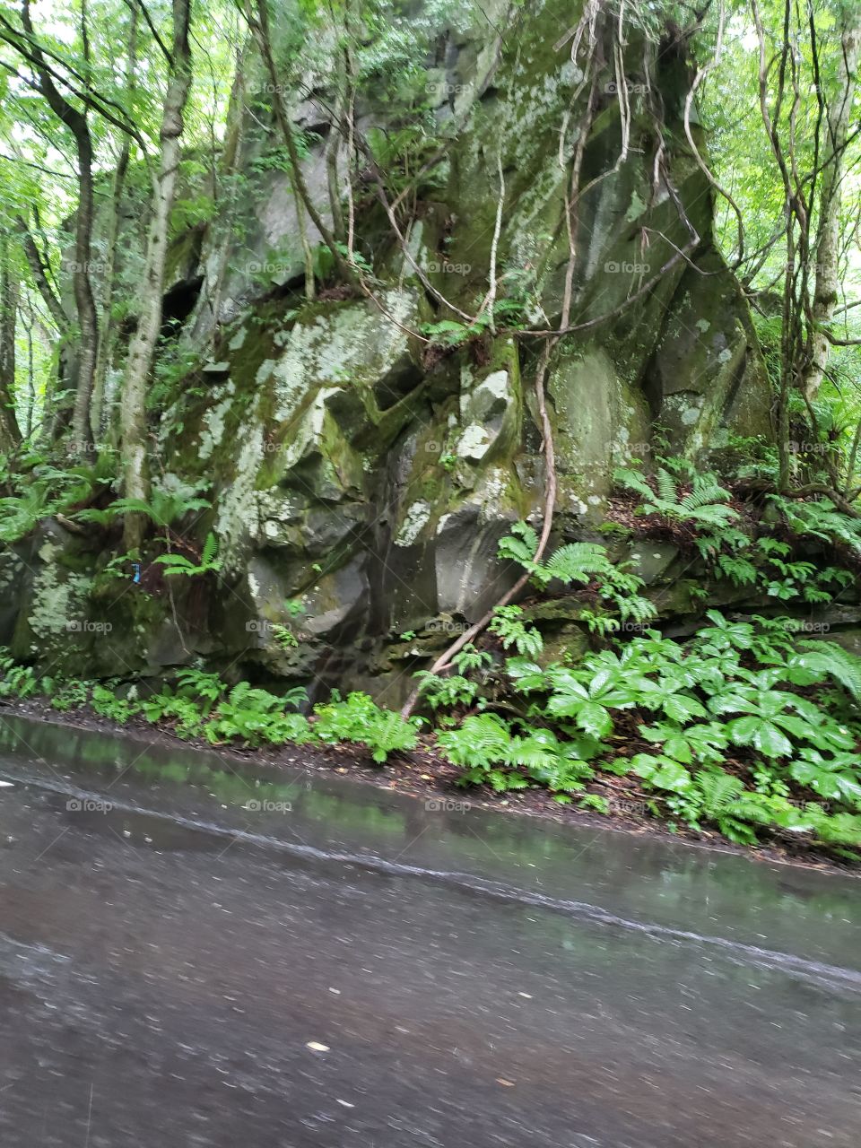 Oirase gorge, Towada Japan