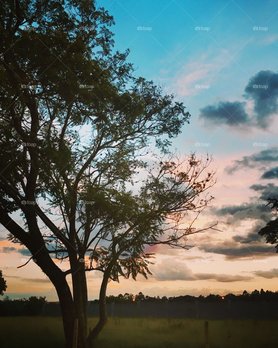 Nosso lindo despertar dominical.
07h e o #verde do mato resolveu se combinar com o #azul-róseo do #céu!
🌿
#sol
#sun
#sky
#nature
#manhã
#morning
#alvorada
#natureza
#horizonte
#fotografia
#paisagem
#amanhecer
#mobgraphia
#FotografeiEmJundiaí
#brazil_mobile