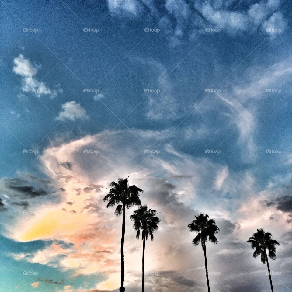 Clouds and palms. 