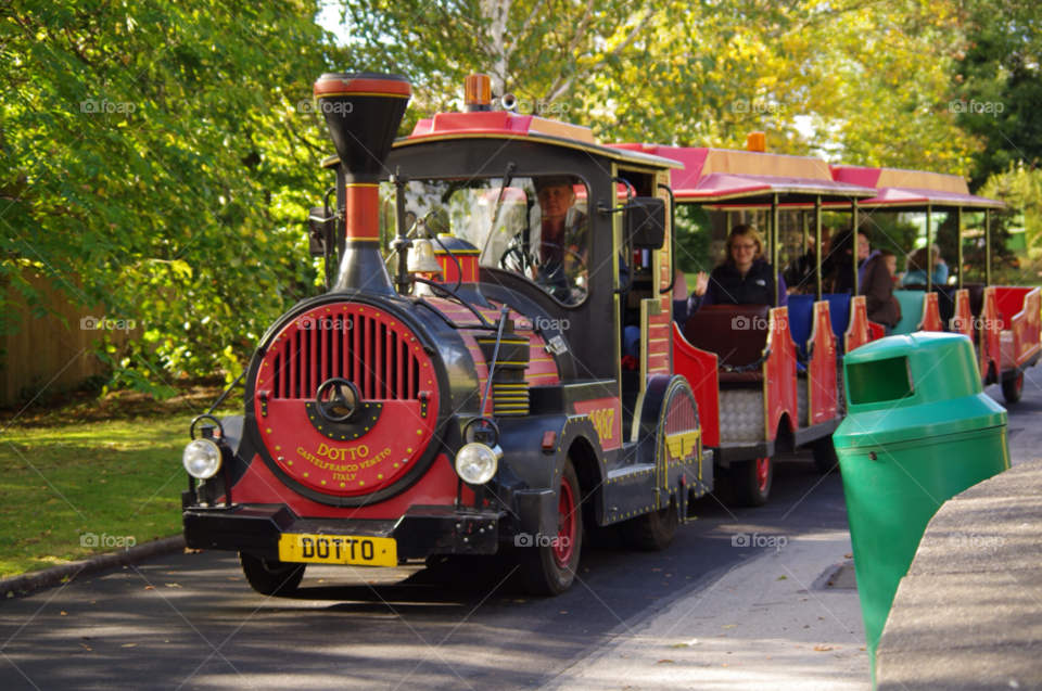 train family zoo by gaillewisbraznell