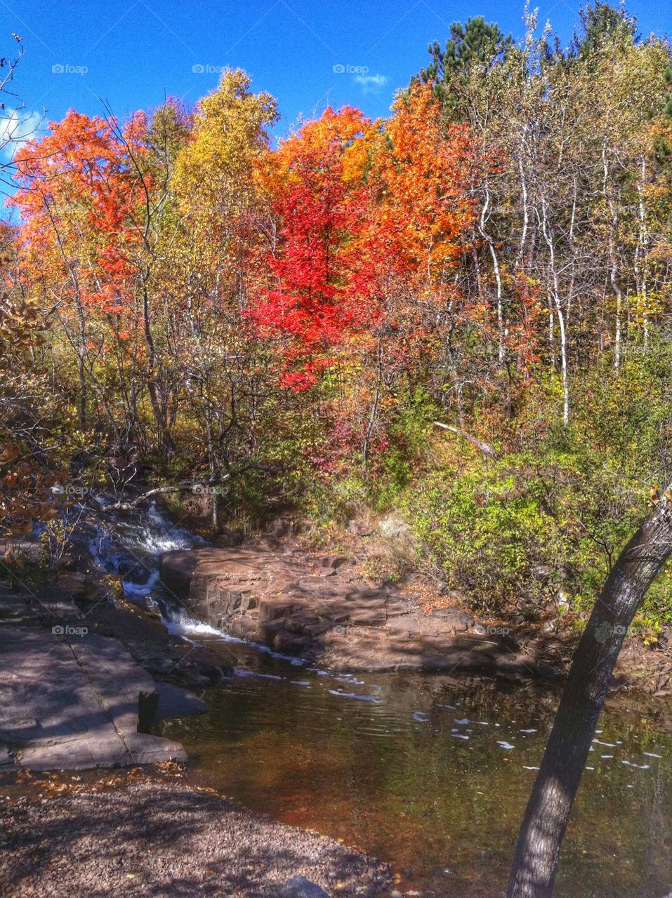 Fall colors in Minnesota. Nature walking