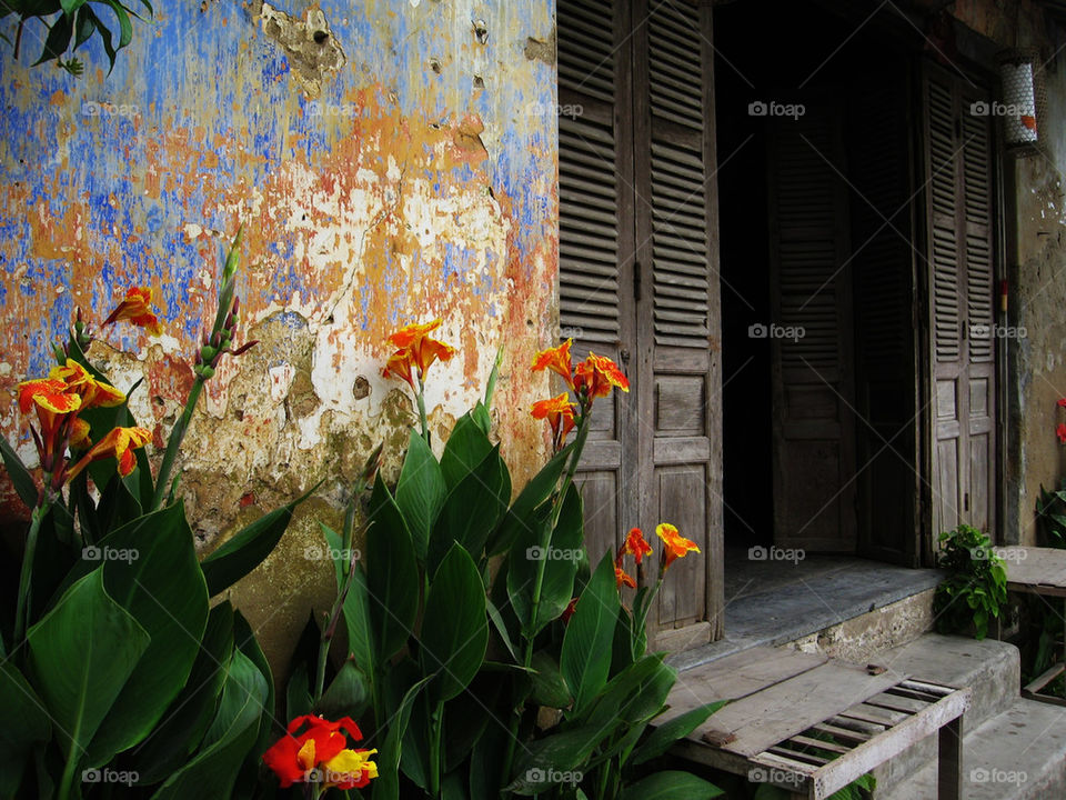 flowers wall orange vietnam by pixelate