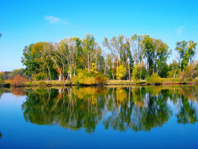 Reflection