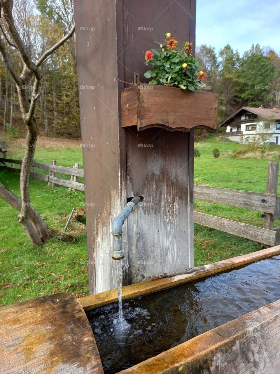 Water Trough in the Alps