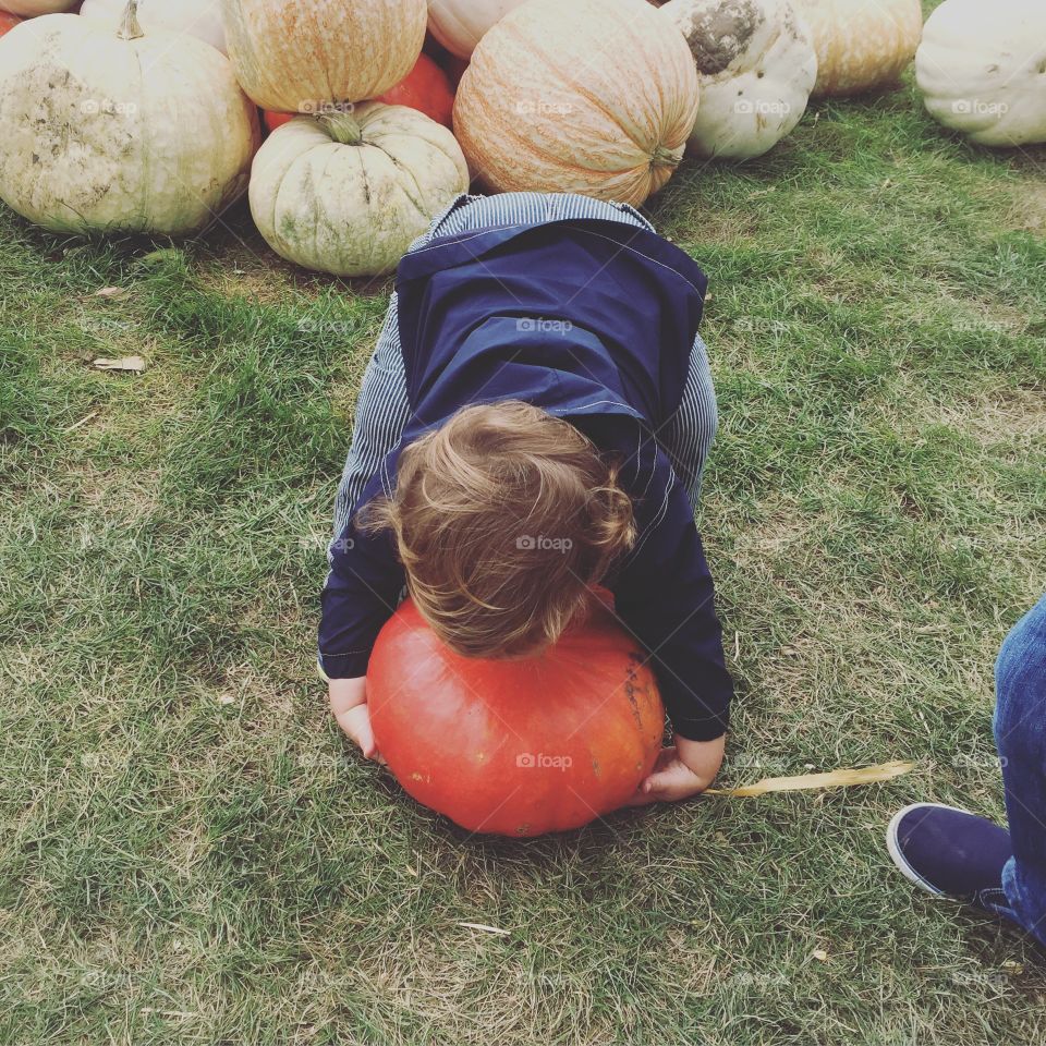 Toddler trying to pick up his favorite pumpkin