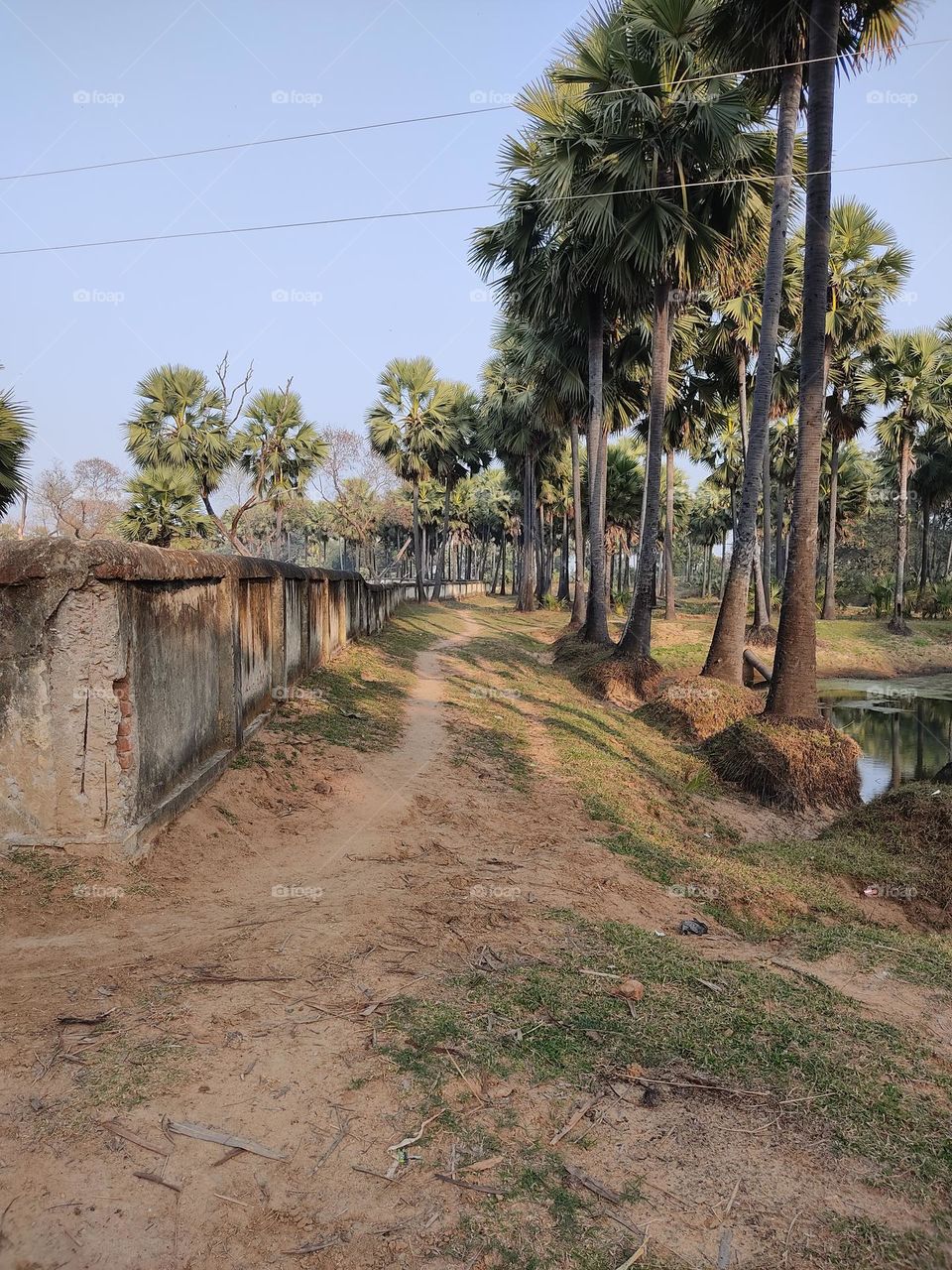 The unpaved road leading to the village.