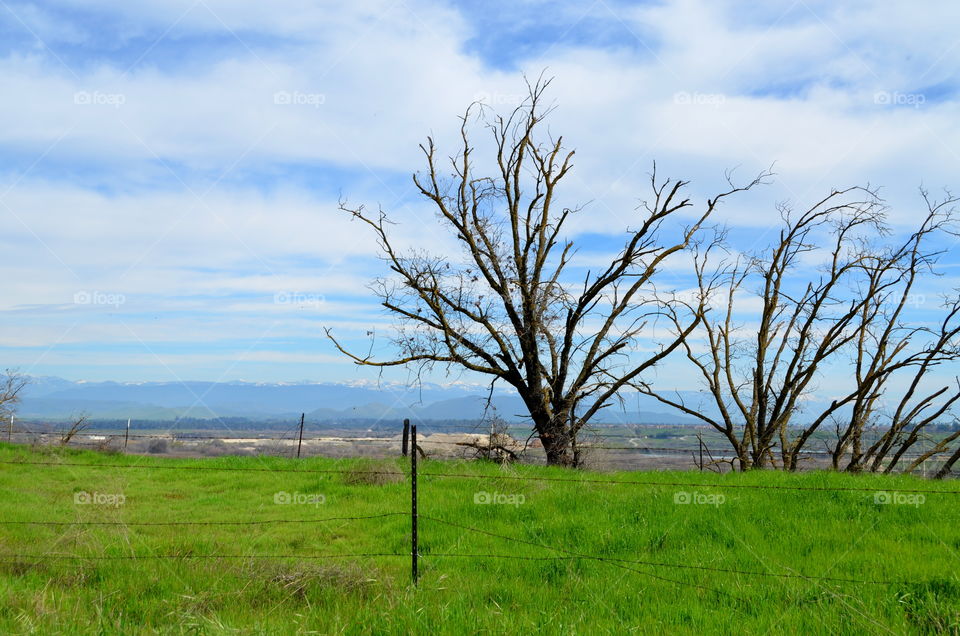 Countryside