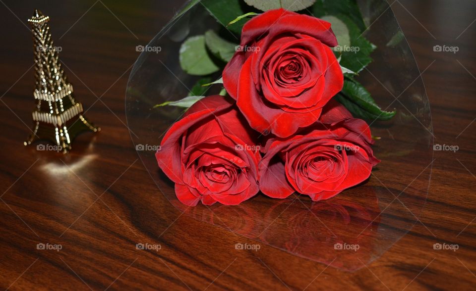 Rose, Flower, Romance, Love, Wedding