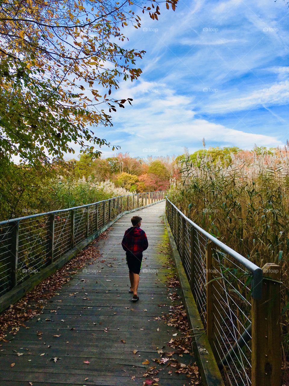 Boy on a walking path Marshy Point Maryland 