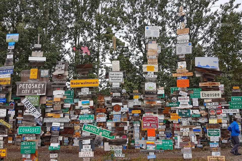 Signpost forest