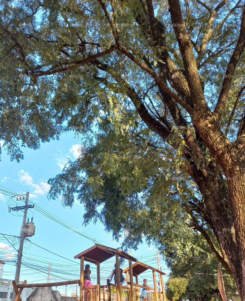 Respirando ar puro e tranquilidade. A arborização,  desempenha diversas funções  importantes relacionadas à aspectos  ecológicos,  estéticos e sociais.  As árvores, proporcionam sombra, amenizam a temperatura e a poluição  sonora