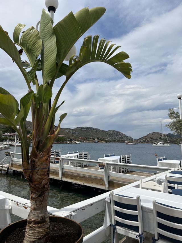 Seaside resort, palm, beach cafe, pier cafe, white interior 