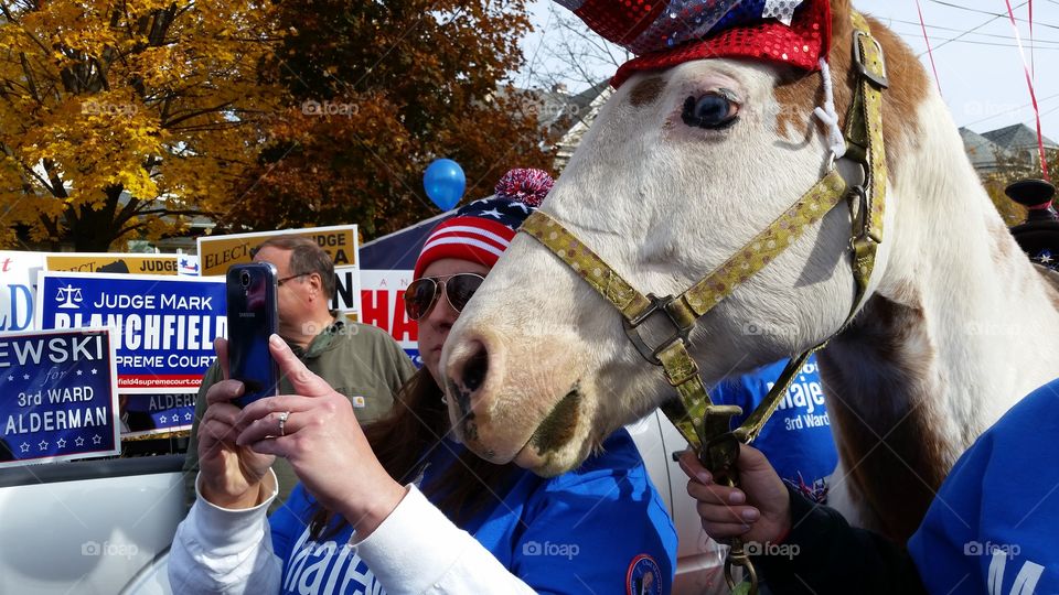 everyone loves a parade