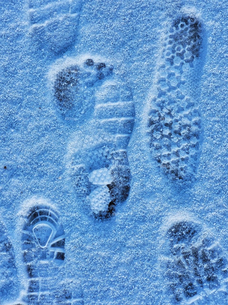 footsteps in the snow