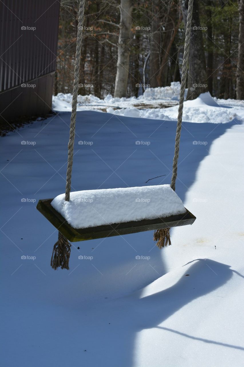 Tree Swing with Snow