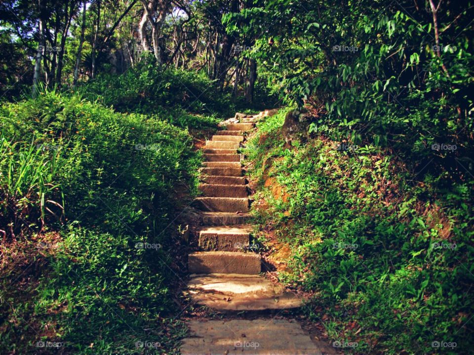 Instigante caminho de degraus