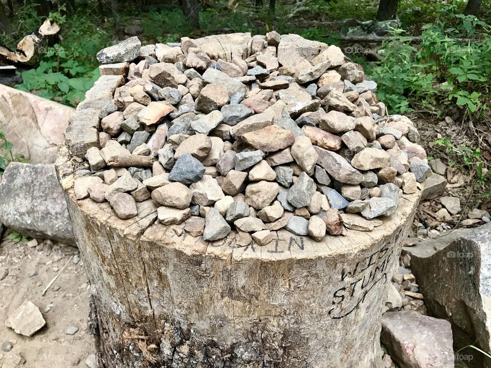 Rocks on the trunk 