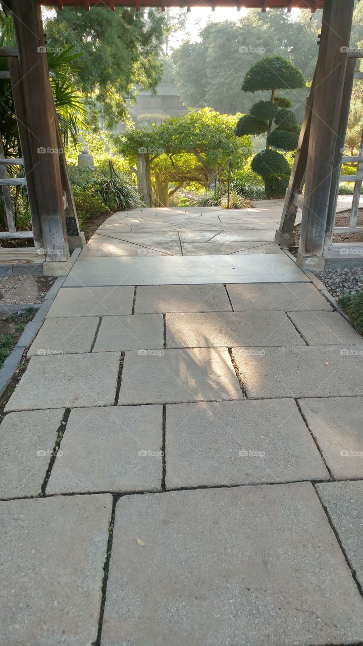 Japanese garden walkway