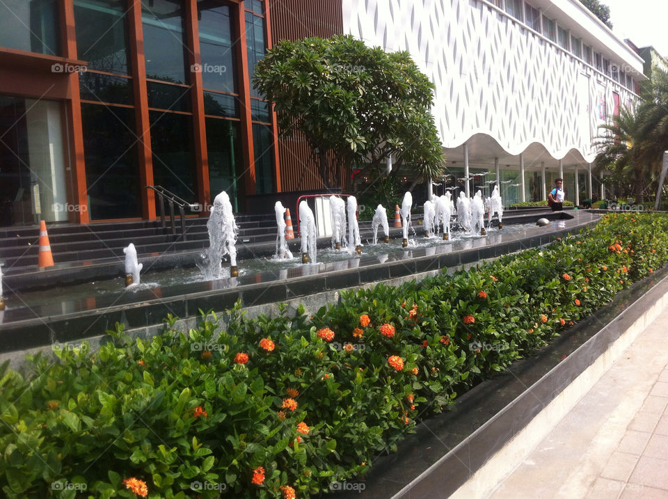Flower, fountain,
