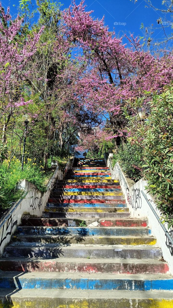 Colourful stairs of Chalkis