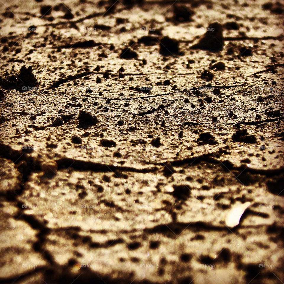 dirt brown land dry by hofit25
