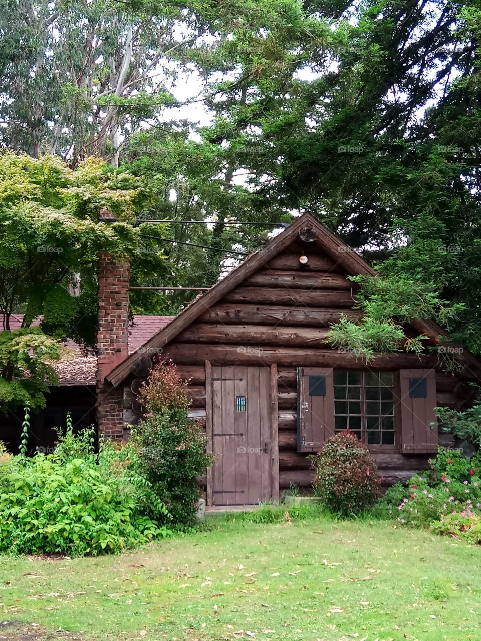 Log cabin at San Francisco Park, California