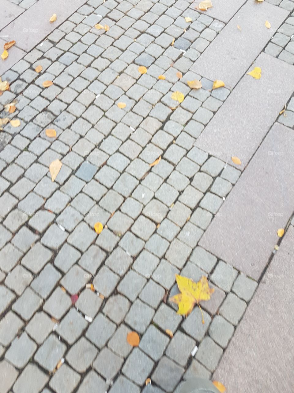 Autumn Streets