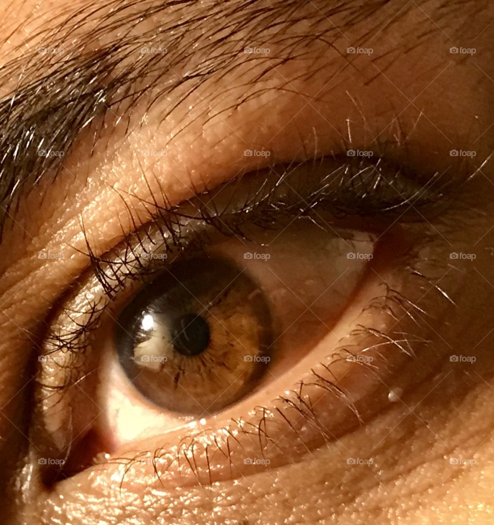 Eye