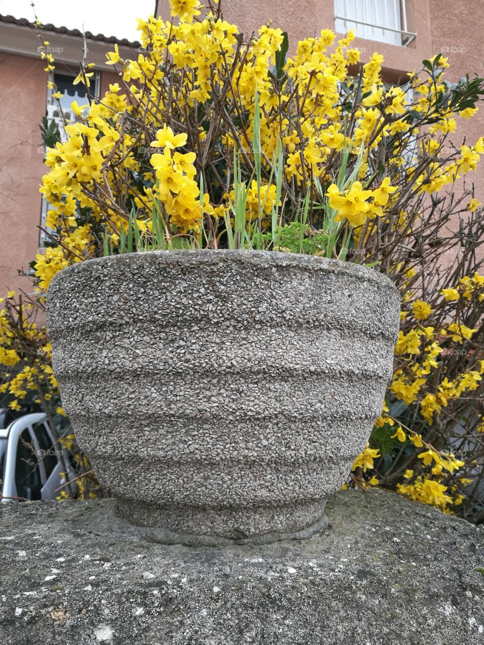 flowerpot