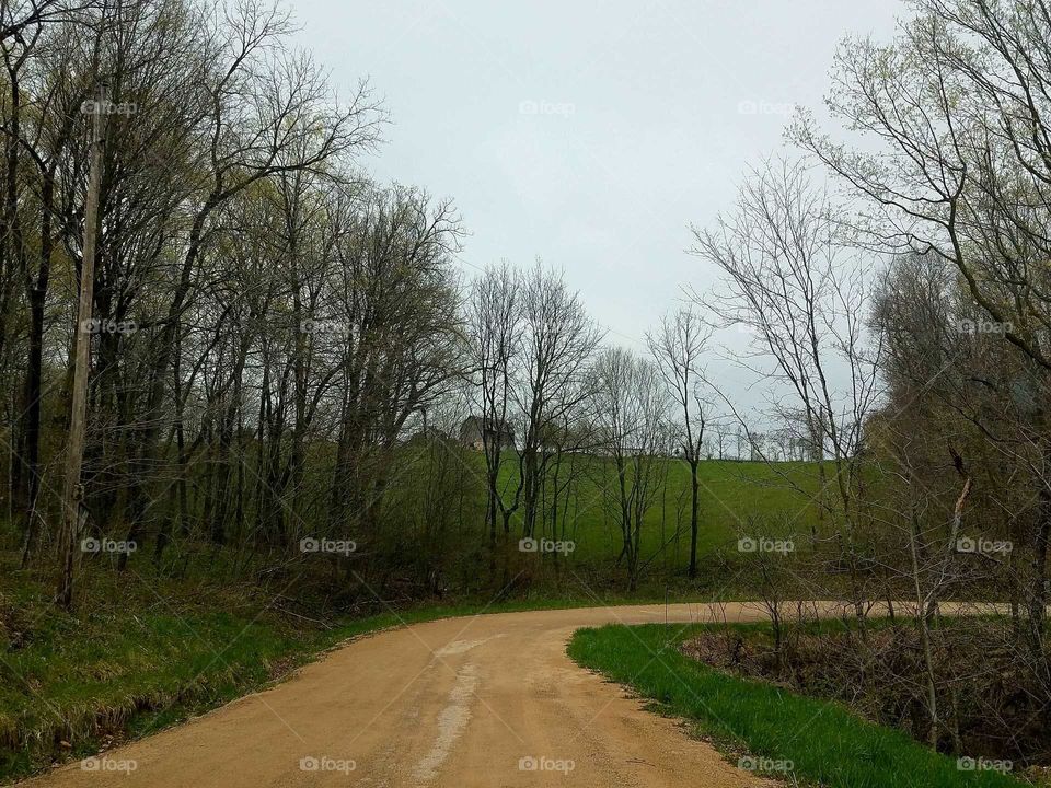 Driving the Back Roads and enjoying everything around us