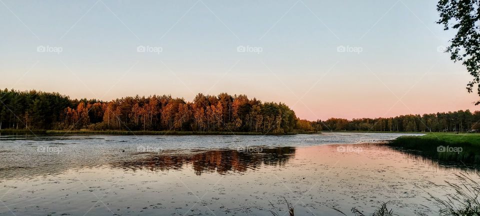 Evening light in the autumn
