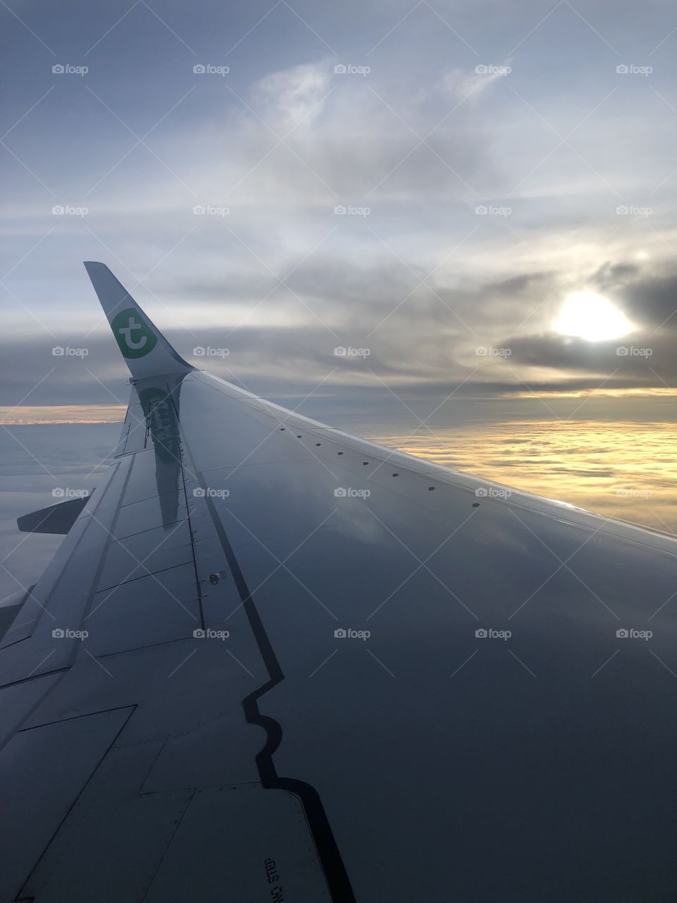 Transavia 