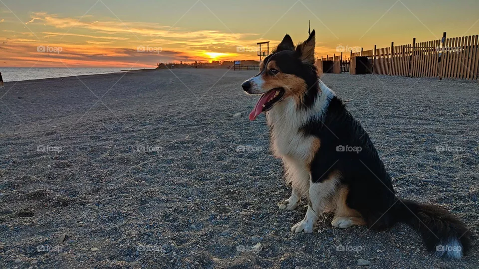 atardecer y tú