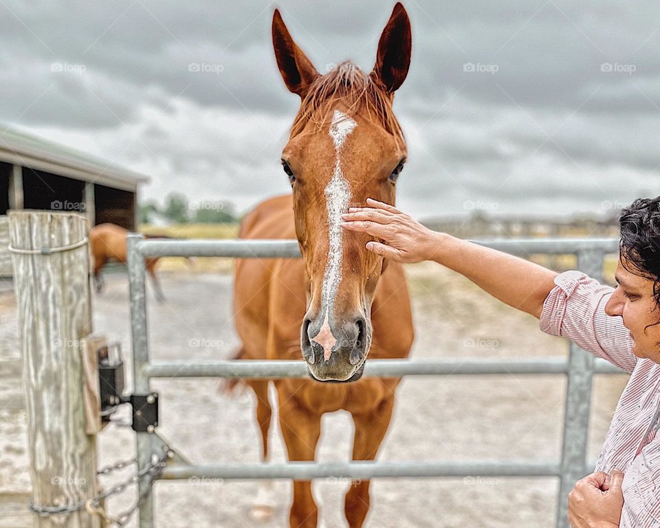 Woman gently pets horse, woman interacts with horse, moments of happiness, finding happiness with horses, happiness on a horse farm, vacation in the countryside, vacation with horses, glimmer moments 
