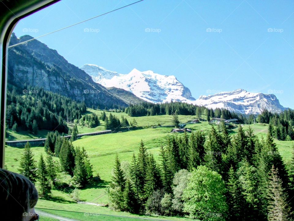 Clicked Thru Window of Clog Train