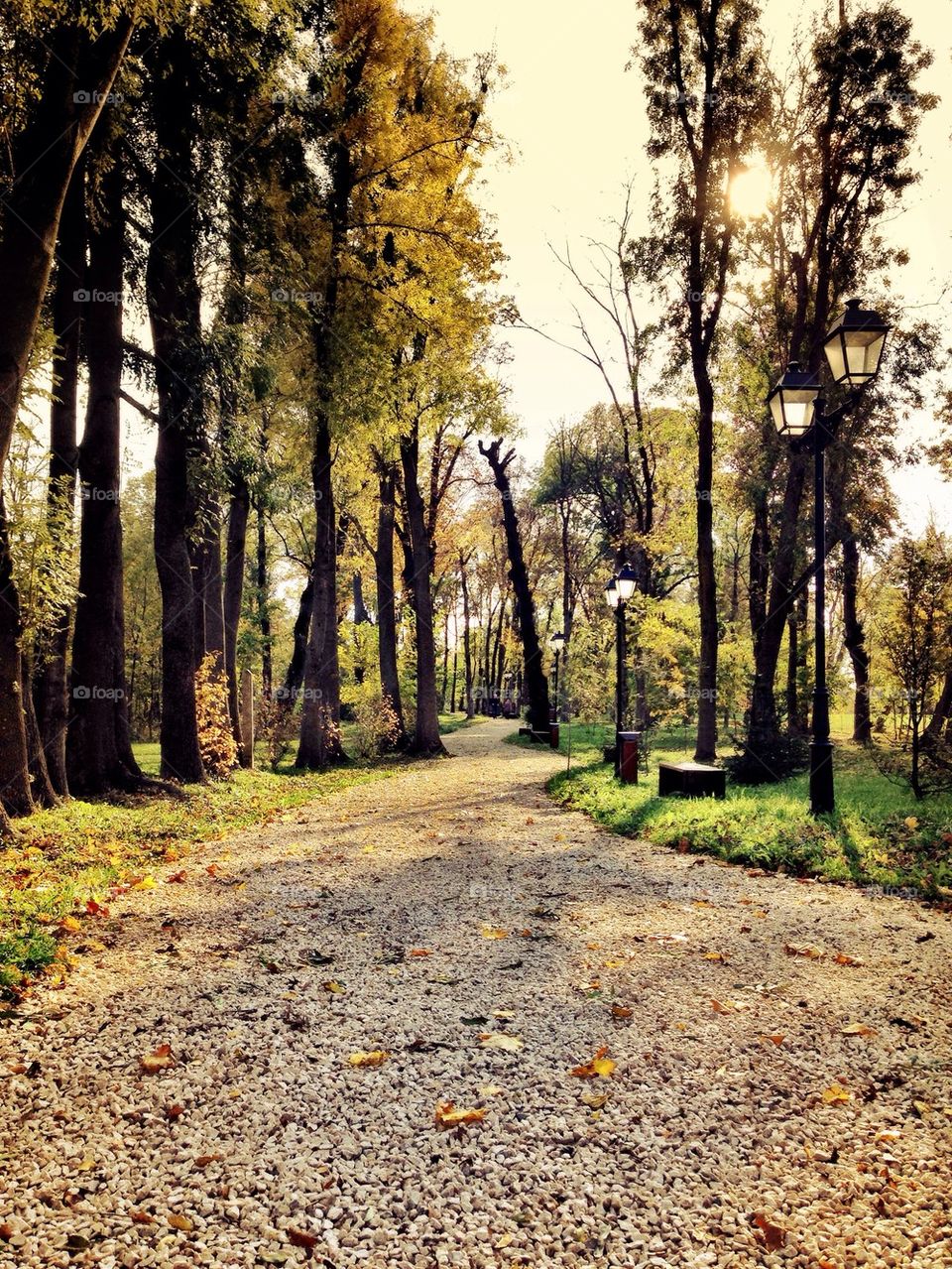 Autumn in Romania.