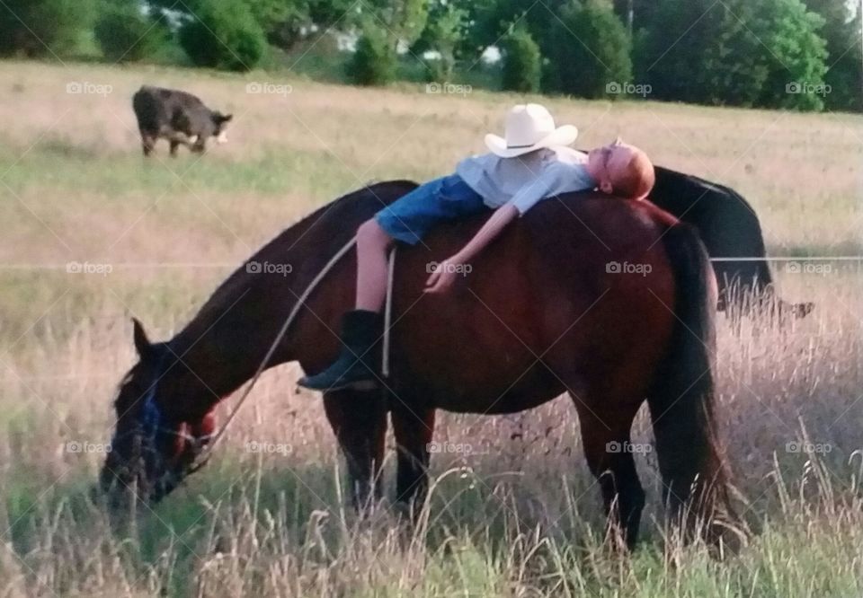 A Cowboy and his Horse